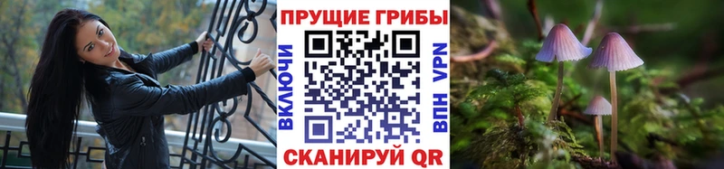 KRAKEN зеркало  где можно купить   Вилючинск  Галлюциногенные грибы Psilocybe 