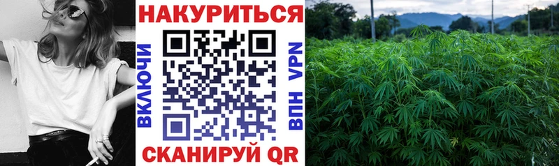 Марихуана гибрид  OMG зеркало  Вилючинск  продажа наркотиков 